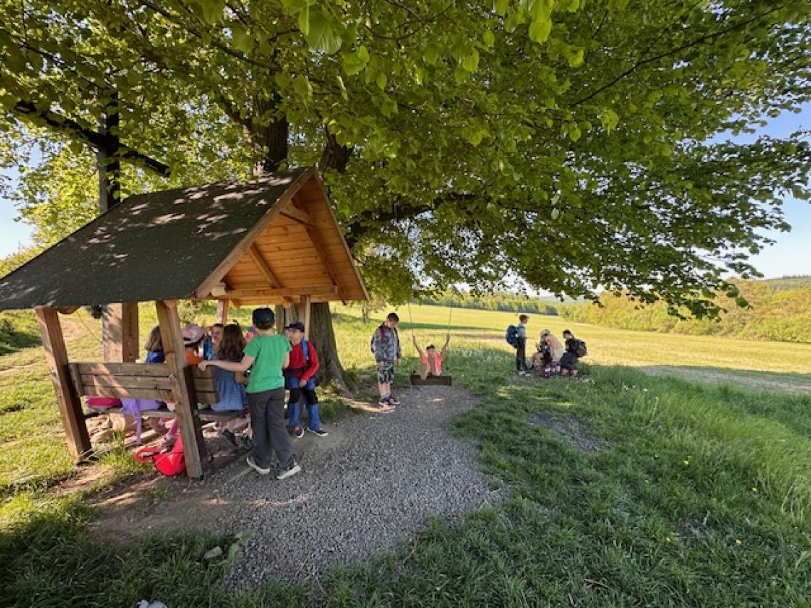 obrázek bez popisu