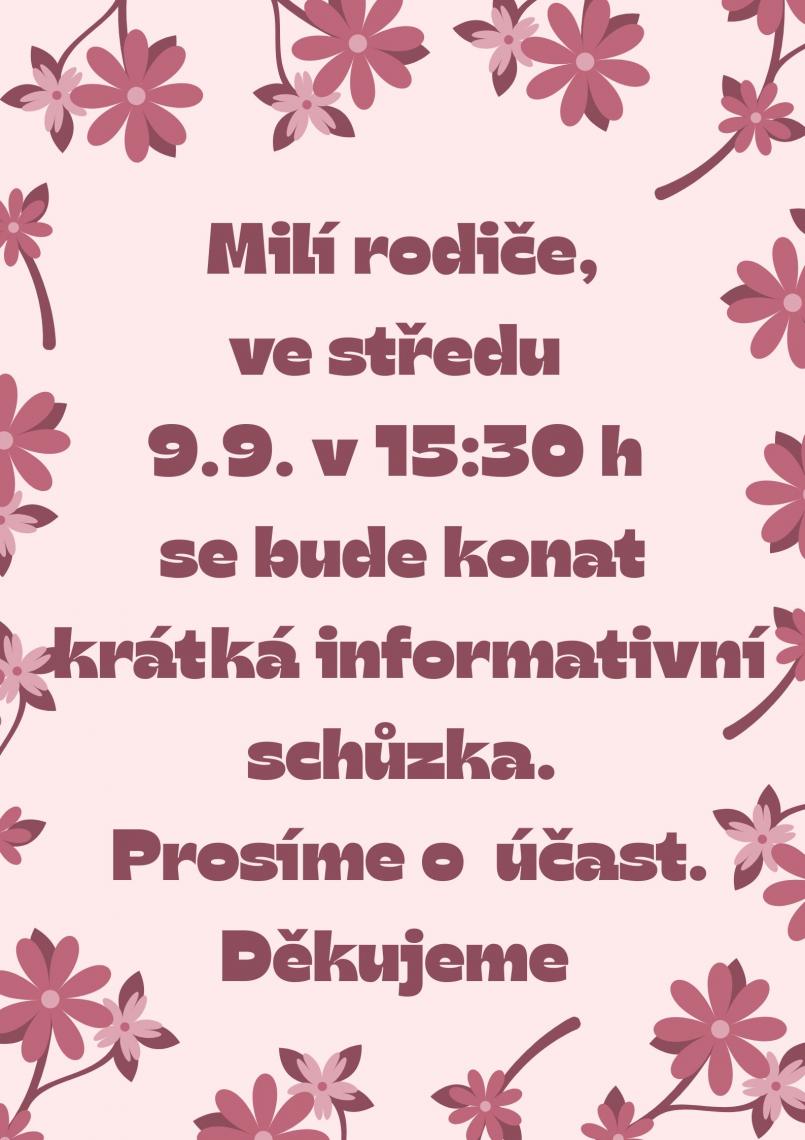 obrázek bez popisu