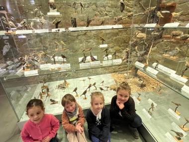 Muzeum Opava - Berušky starší děti 