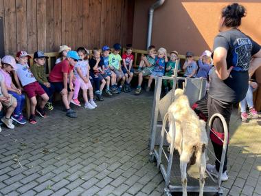 Výlet na kozí farmu Havířov