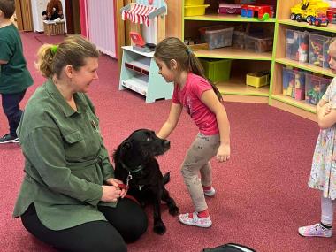 Jak se starat o zvířata