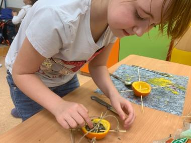 krmítka pro ptáčky