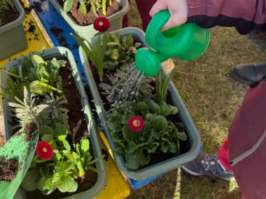 Sázíme květiny do truhlíků