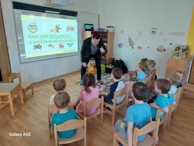 Kam míří opylovatelé?