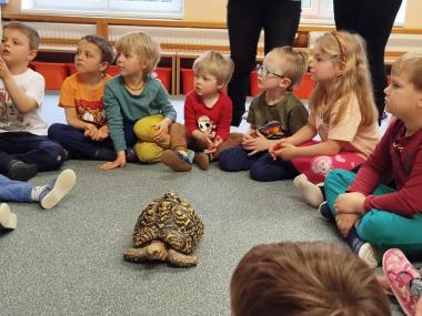 Návštěva z MiniZoo