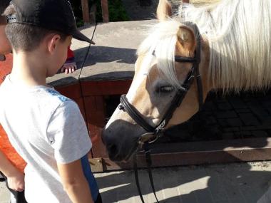 Výlet na Dětský ranč Hlučín